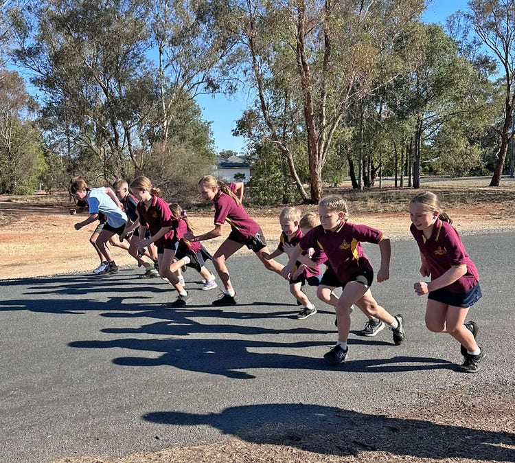 1 of 13 images: OCS Cross Country:View full sized image